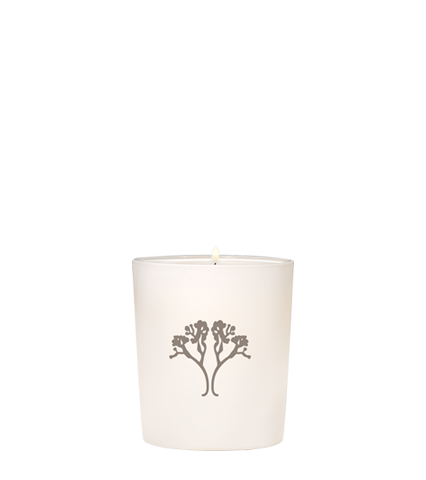 Product Sahra Spa Candle